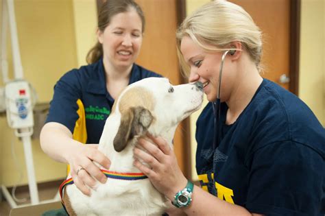 Med vet - Sarah Lyles, DVM, Diplomate, ACVIM (Oncology), is a Board-Certified Medical Oncologist at both MedVet Mandeville and MedVet New Orleans where she has been a part of the medical team since 2012. Dr. Lyles attended Louisiana State University where she earned a Bachelor of Science in Biological Sciences and …